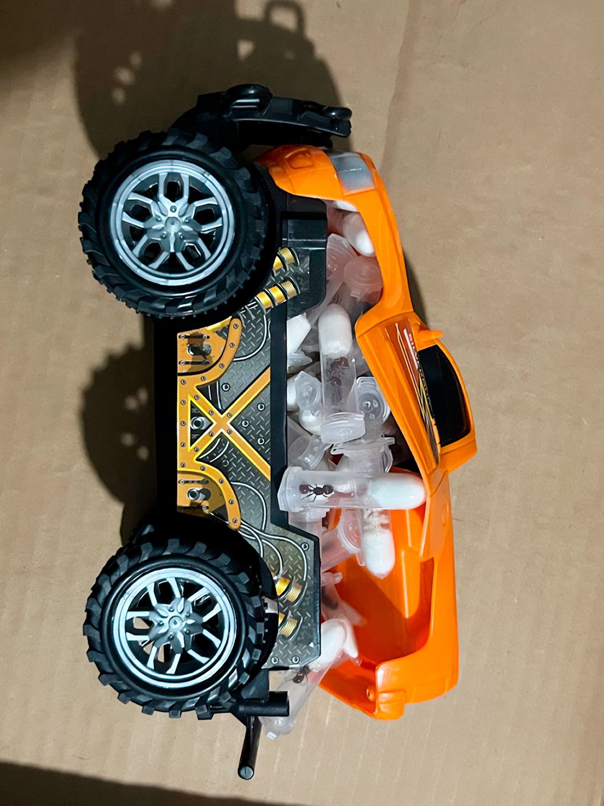 Un paquete con supuestas figuras de colección ocultaba hormigas reina.jpg